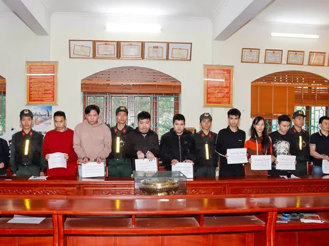 Bắt nhóm đối tượng lừa bán ô tô 'thanh lý hải quan', chiếm đoạt hàng trăm tỷ đồng