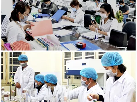 Quy định chính sách thu hút, trọng dụng người có tài năng làm việc trong cơ quan nhà nước