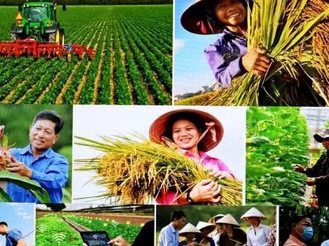 Hướng dẫn cơ chế quản lý tài chính của Quỹ Hỗ trợ nông dân