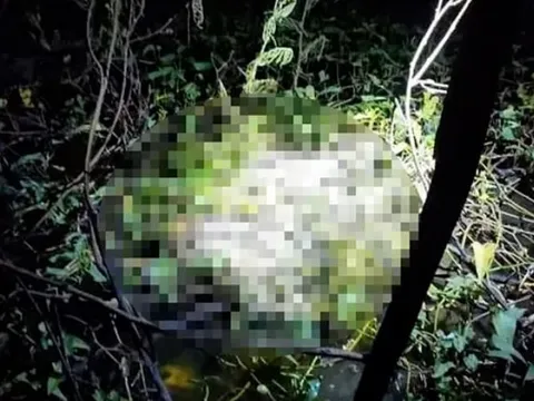 Phát hiện thi thể đang phân huỷ dưới mương nước gần khu công nghiệp ở TP.HCM