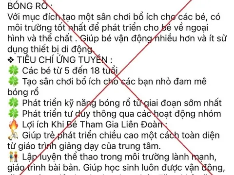 Người phụ nữ bị lừa hơn 1 tỷ đồng khi đăng ký khóa học bóng rổ cho con trên mạng