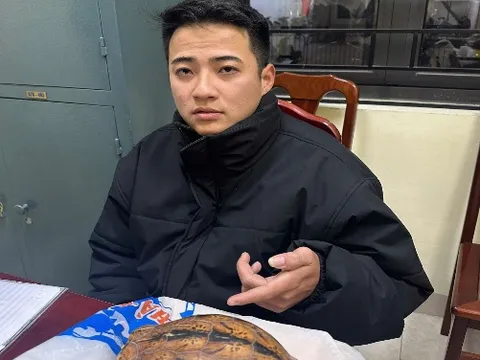 Khởi tố đối tượng vận chuyển, mua bán rùa quý hiếm ở Hà Nội