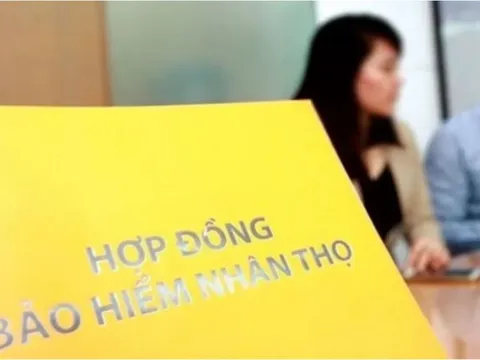 Những chính sách mới nổi bật có hiệu lực từ tháng 2/2025