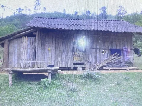 Mâu thuẫn gia đình, 'nghịch tử' giết mẹ rồi tự sát bất thành