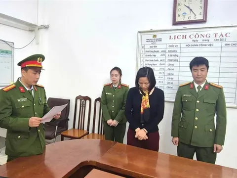 Khởi tố người phụ nữ làm giả báo cáo đánh giá tác động môi trường