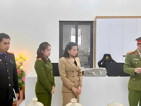 Khởi tố nữ chủ tịch Công ty trốn thuế hơn 1,8 tỷ đồng