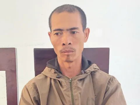 Mâu thuẫn đất đai và tình cảm, anh rể phá vườn cà phê của em vợ