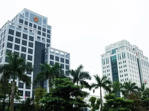 Đề xuất xây dựng chính sách vượt trội với chuyên gia cao cấp