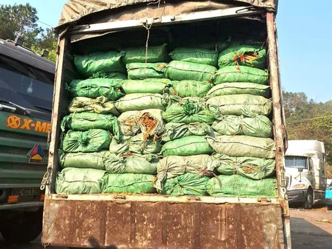 Cao Bằng: Thu giữ trên 30 tấn nguyên liệu thuốc lá không rõ nguồn gốc