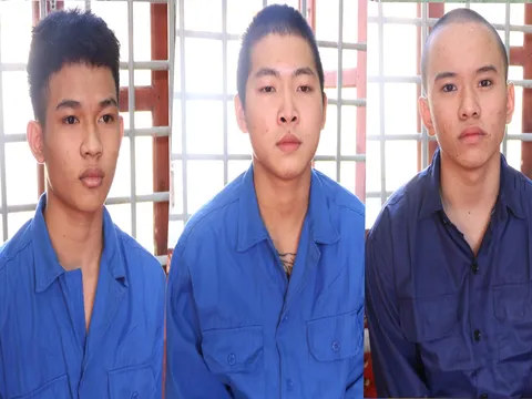 Vĩnh Long: Khởi tố 3 đối tượng cố ý gây thương tích