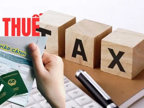 Cá nhân nợ thuế từ 50 triệu đồng trở lên sẽ bị tạm hoãn xuất cảnh