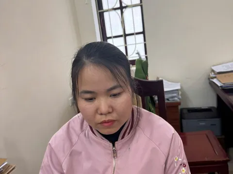 Bắt đối tượng thuê gần 50 ô tô rồi làm giả giấy tờ mang đi bán