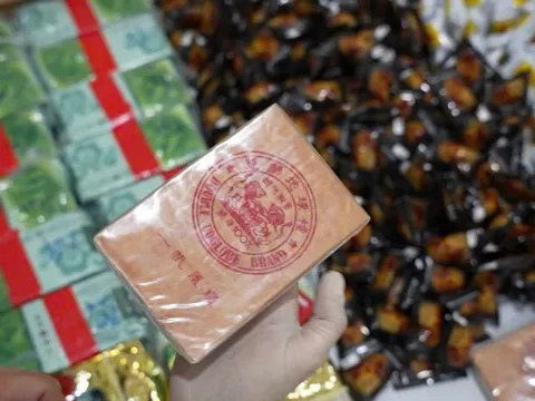 Phá đường dây vận chuyển, mua bán 30kg ma túy từ Campuchia về TP.HCM