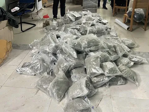 Phá đường dây mua bán ma túy từ Thái Lan vào Việt Nam, thu giữ hơn 153kg cần sa