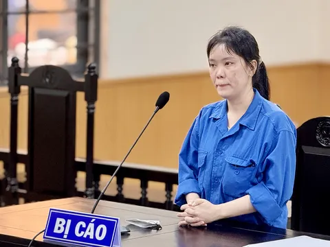 Nữ nhân viên ngân hàng lừa đảo chiếm đoạt tài sản lãnh 11 năm tù