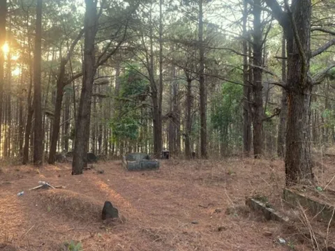 Bắt đối tượng hiếp dâm bé gái 14 tuổi trong rừng thông