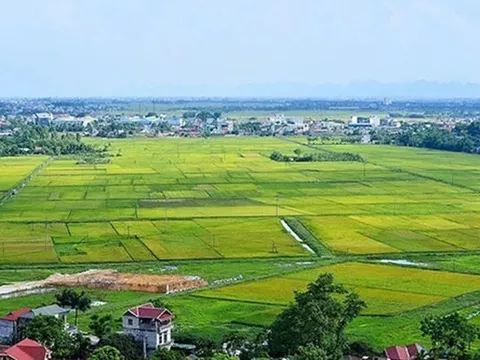 Quy định về trình tự, thủ tục cho phép chuyển mục đích sử dụng đất