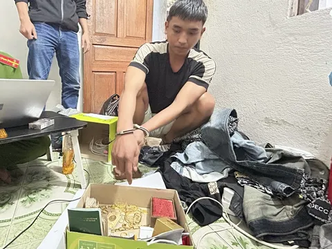 Bắt giữ đối tượng trộm cắp tài sản trị giá hơn 1 tỷ đồng ở Quảng Nam