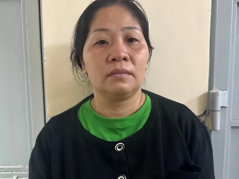 Bắt đối tượng bị truy nã về tội môi giới mại dâm