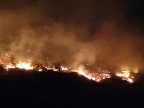 Công điện về việc tập trung khắc phục hậu quả do cháy rừng trên địa bàn tỉnh Quảng Ninh