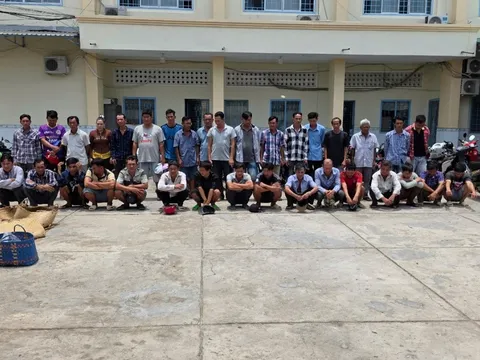 Khởi tố 5 đối tượng tổ chức đá gà ăn tiền