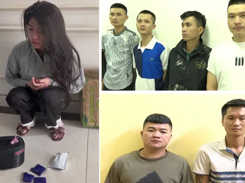 Triệt xóa đường dây mua bán trái phép ma tuý liên tỉnh, bắt giữ 7 đối tượng