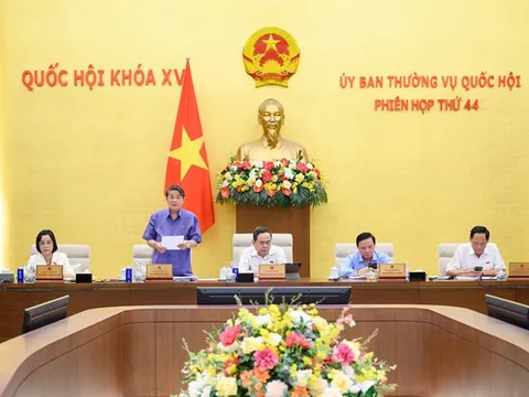 Dự kiến tiếp tục giảm thuế GTGT 6 tháng cuối năm 2025 và cả năm 2026