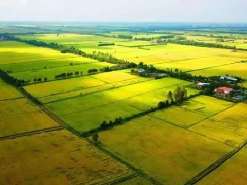 Quy định về mức xử phạt đối với hành vi lấn chiếm đất