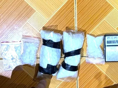 Tạm giữ hình sự 2 đối tượng tàng trữ ma tuý ở Đồng Nai