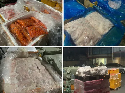 Phát hiện hơn 7 tấn thực phẩm đông lạnh không rõ nguồn gốc