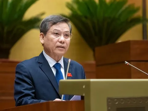 Đề xuất thành lập Tòa án nhân dân khu vực, Tòa chuyên trách về Phá sản, Sở hữu trí tuệ