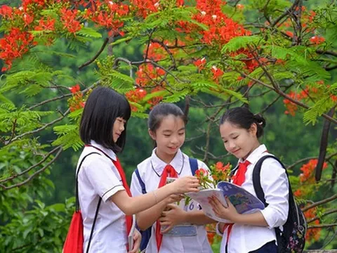 Thủ tướng chỉ đạo 3 vấn đề nóng trong giáo dục