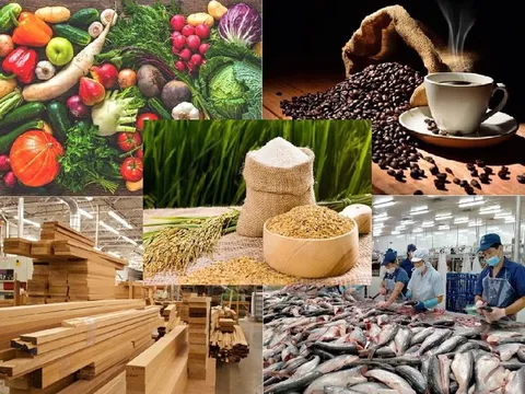 Tập trung chỉ đạo bảo đảm sản xuất, tiêu thụ, xuất khẩu nông lâm thủy sản trong bối cảnh biến động thương mại toàn cầu