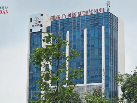 Cần minh bạch trong đấu giá tài sản vật tư thiết bị có chứa chất thải nguy hại của các Công ty điện lực