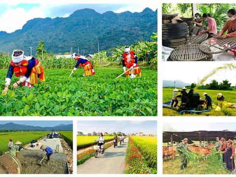 Kế hoạch tổng kết Chương trình mục tiêu quốc gia xây dựng nông thôn mới giai đoạn 2021 - 2025