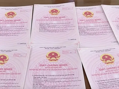 Tạm giữ đối tượng dùng sổ đỏ giả bán đất rồi chiếm đoạt 8 tỷ đồng