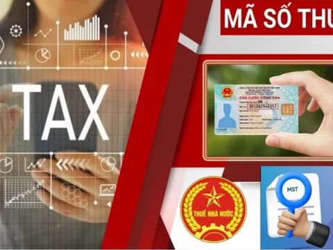Hướng dẫn sử dụng số định danh cá nhân thay cho mã số thuế từ 1/7