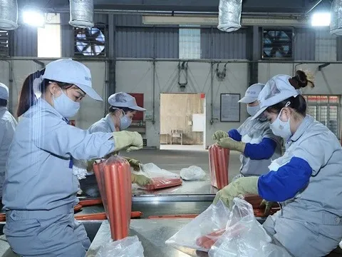 Mở rộng nhóm đối tượng tham gia bảo hiểm thất nghiệp từ 1/1/2026