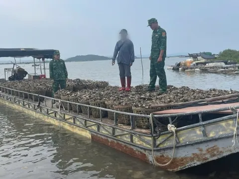 Bắt đối tượng chở lậu 4 tấn hàu từ Trung Quốc về Việt Nam tiêu thụ