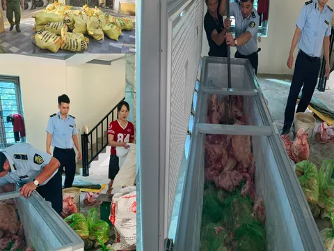 Tạm giữ hình sự 4 đối tượng gom heo mắc dịch tả heo châu Phi bán ra thị trường