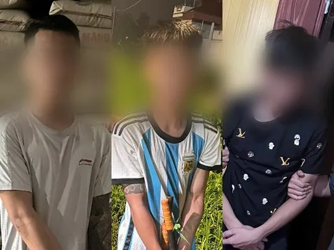 Hà Nội: Bắt nhóm thanh niên trộm tiền công đức tại Đền Thổ Cải