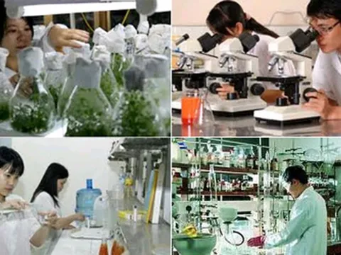 Tăng cường thực hiện các chính sách ưu đãi, hỗ trợ cho doanh nghiệp khoa học và công nghệ