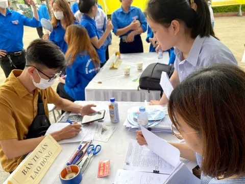 Kế hoạch triển khai thi hành Luật Việc làm