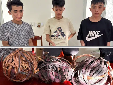 Bắt nhóm đối tượng trộm cắp tài sản ở Thanh Hoá