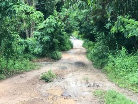 Điều tra vụ con trai dùng dao sát hại mẹ ruột, chém chị gái trọng thương