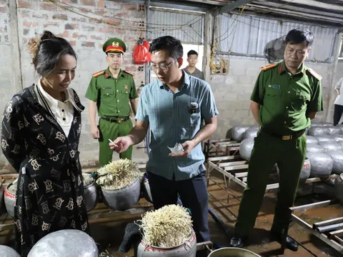 Phát hiện cơ sở dùng chất cấm sản xuất giá đỗ số lượng lớn ở Hà Tĩnh