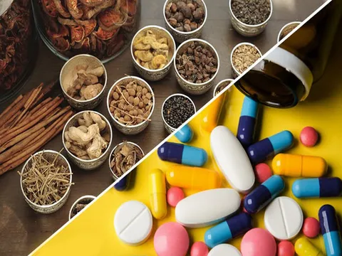 Phân cấp giải quyết một số thủ tục hành chính trong lĩnh vực dược