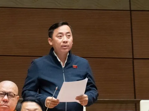 Đề nghị tăng mức phạt, công khai vi phạm bảo vệ môi trường