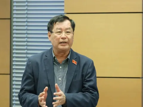 Pháp luật vừa là công cụ quản lý, vừa thúc đẩy và kiến tạo phát triển