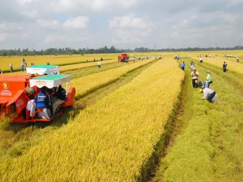 Các trường hợp được miễn thuế sử dụng đất nông nghiệp đến hết ngày 31/12/2030